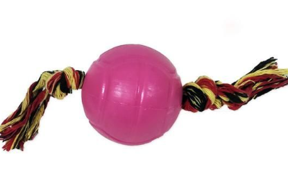 Bola maciça pequena com corda