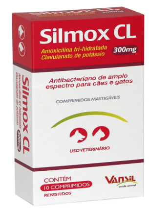 Silmox cl 300 mg 10 comprimidos 